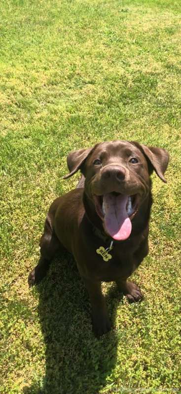 Look at that handsome boy