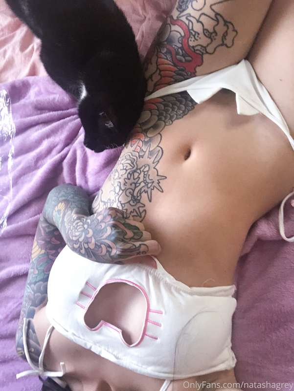Time for some PUSSY PICS 🥰 Which kitty is better black or wh.. 26