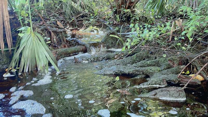 Nice day to enjoy the natural springs 1