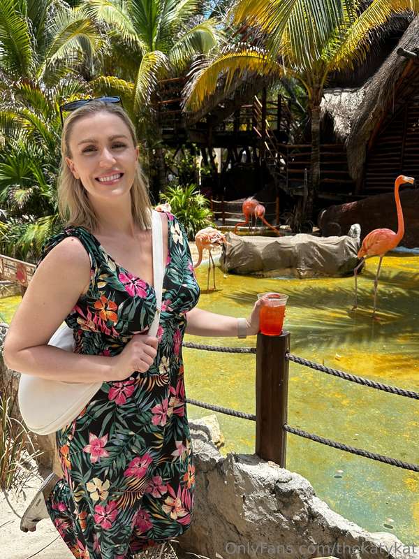 Flamingos are a vibe, until you get a whiff of them.