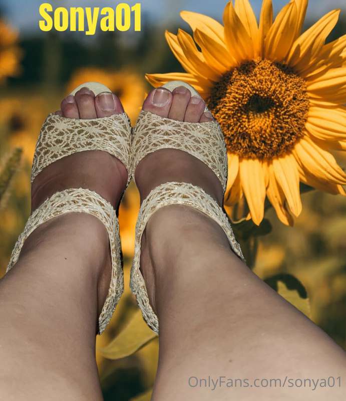 Sonya01 - Onlyfans - 31 Jul, 2022