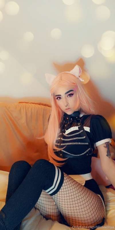 💦 Neko Maid 💦 25