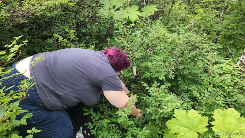 I did the nature-ing thing today. Picked blueberries, found .. 12