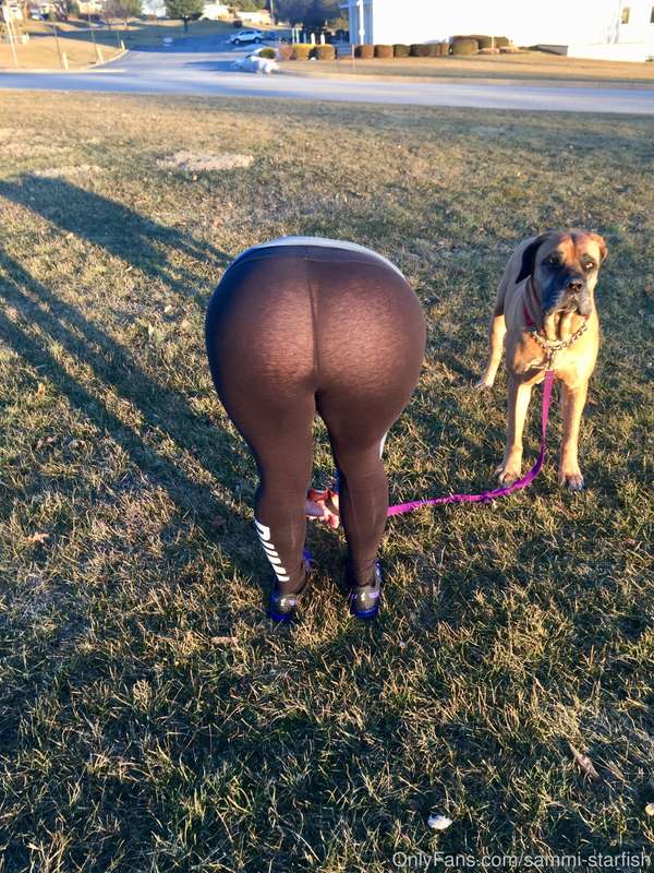 Taking the dog for a walk in the park 😉 2