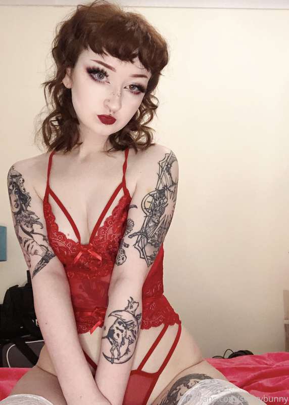 I’ll be sharing lots of Xmas themed photos and videos over t..