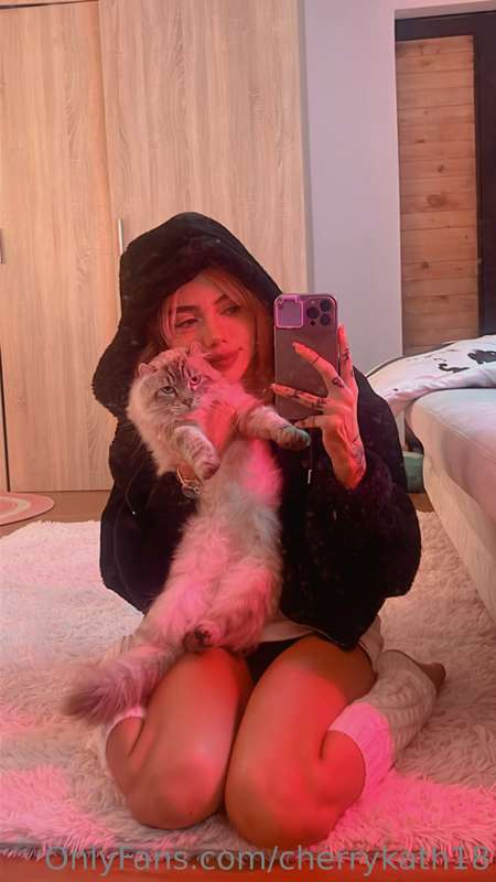 do you have cats? I loveeeeeee them❤️❤️😍😍🐈🐈