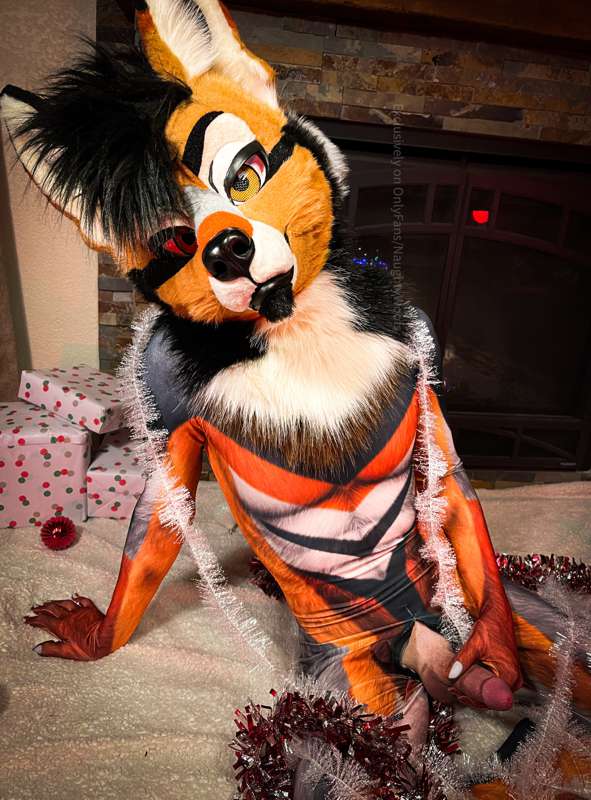 Day 1 out of 3 holiday special for you all. We got a lot in .. 13