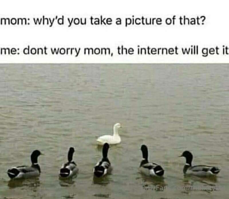 Meme of the Day! 1