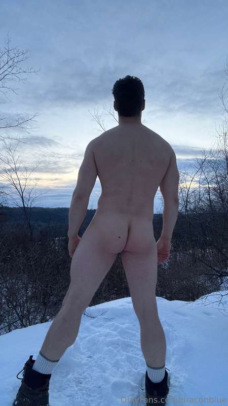 The wild  1