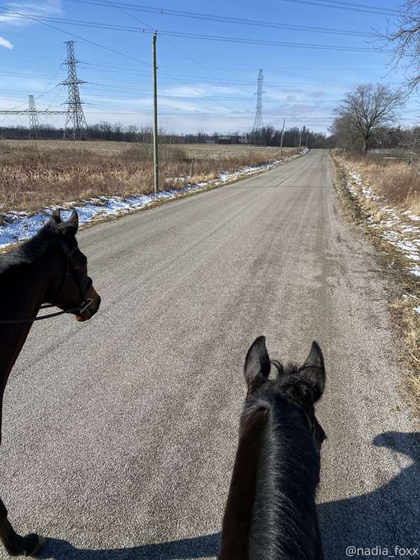 Had an awesome outdoor ride 🐎  today then picked up some ros..