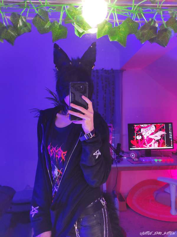 I bought myself Anubis ears and tail. Do you like me more wi.. 4