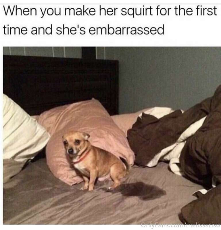 😂😂😂😂