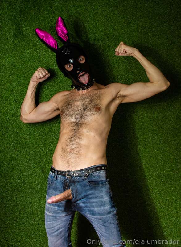 Kinky Easter Bunny is ready for you