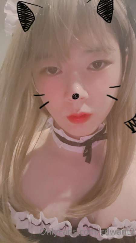 메이드복 사진 26장!!

26 photos of maid clothes!! 23