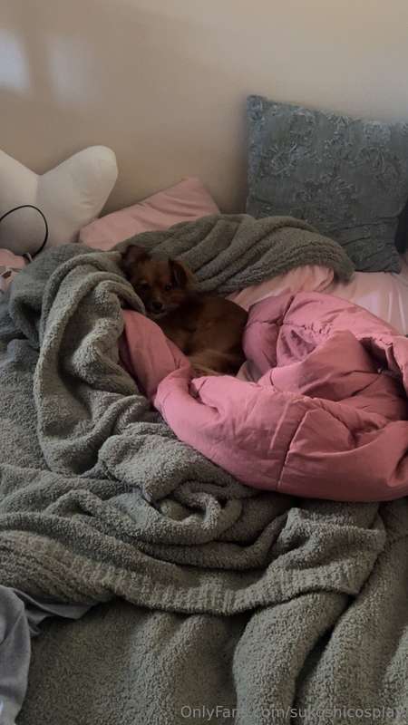 my pussy is so very clearly ready to be fucked 🙄 she’s so sw..