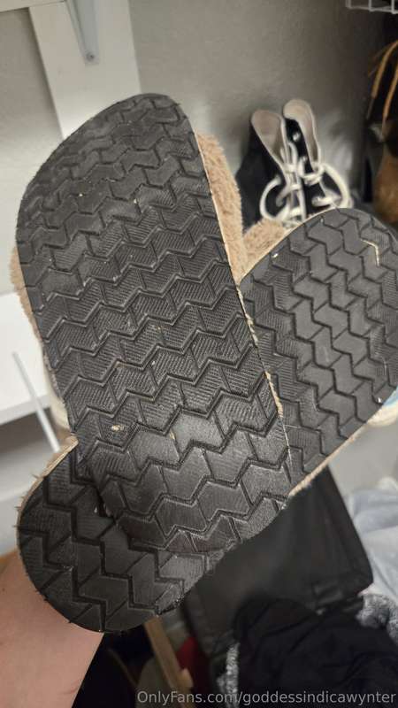 Ask prices include shipping. Priority mail. Ship in the US o.. 5