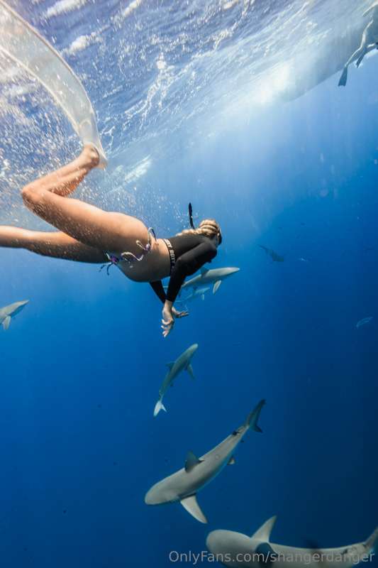 PREGGO BRITT SHARK DIVING!!!! She hasnt posted these pics an..