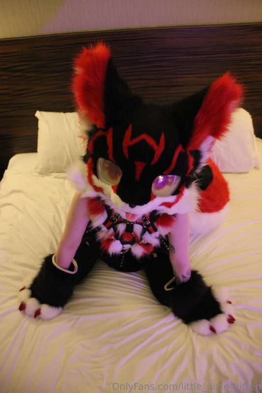 Koji pics in the hotel! ♥️🖤🤍 13