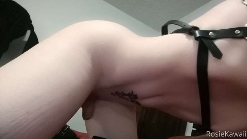 leather slut set 2/6 x 36