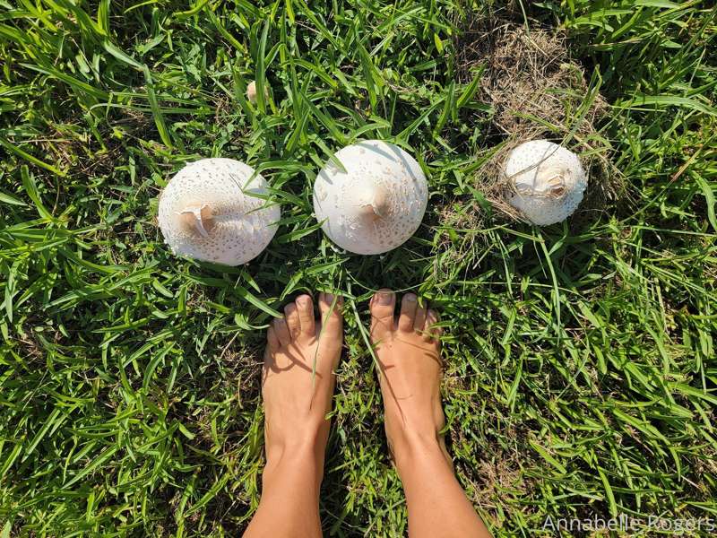 Barefoot, braless and bushy 6