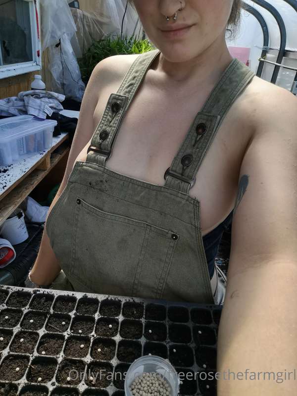 Casual seeding day 😌