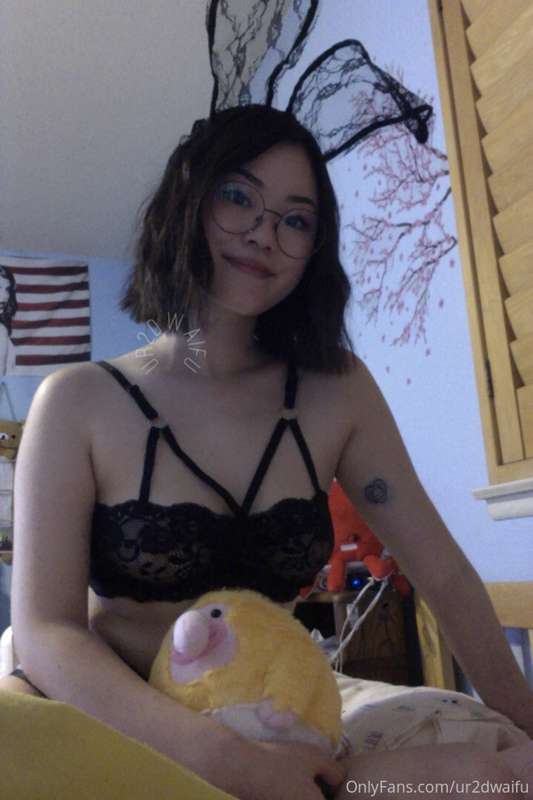 me cute bunny