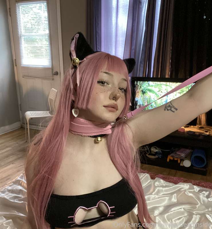 Meouw ~ 2