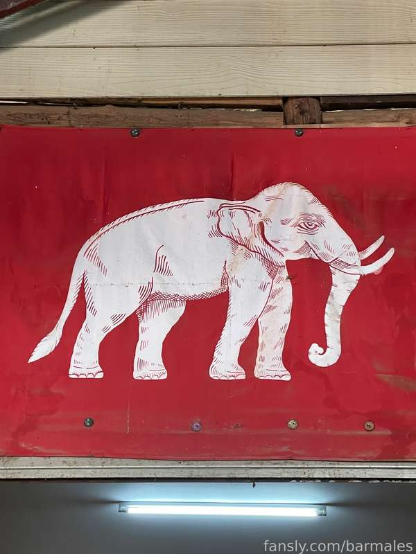 Barmales - Fansly - 26 Apr, 2023 1