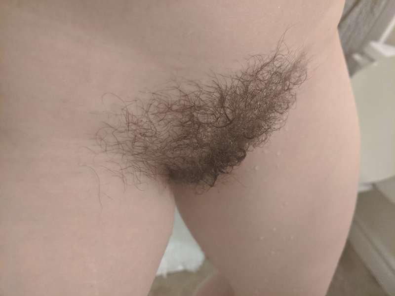Wet bush fresh out of the shower :)

[3 pics]