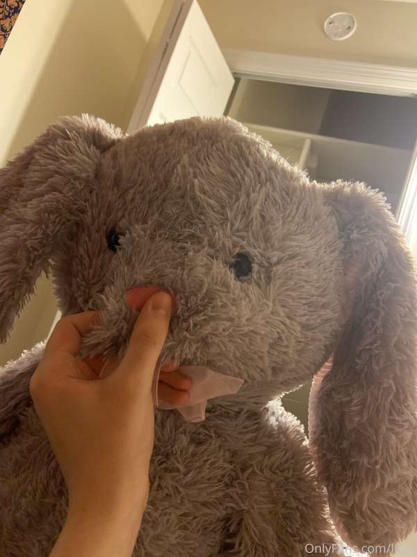I rub my pussy and cum on the nose of this big stuffed rabbi.. 2