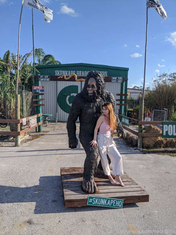 We're in skunk ape territory now...