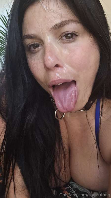 Taking customs and cock rates this week! Message me if you w..