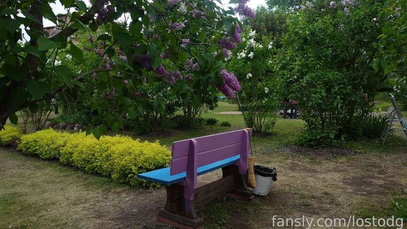 Lostodg - Fansly - 30 May, 2023 11