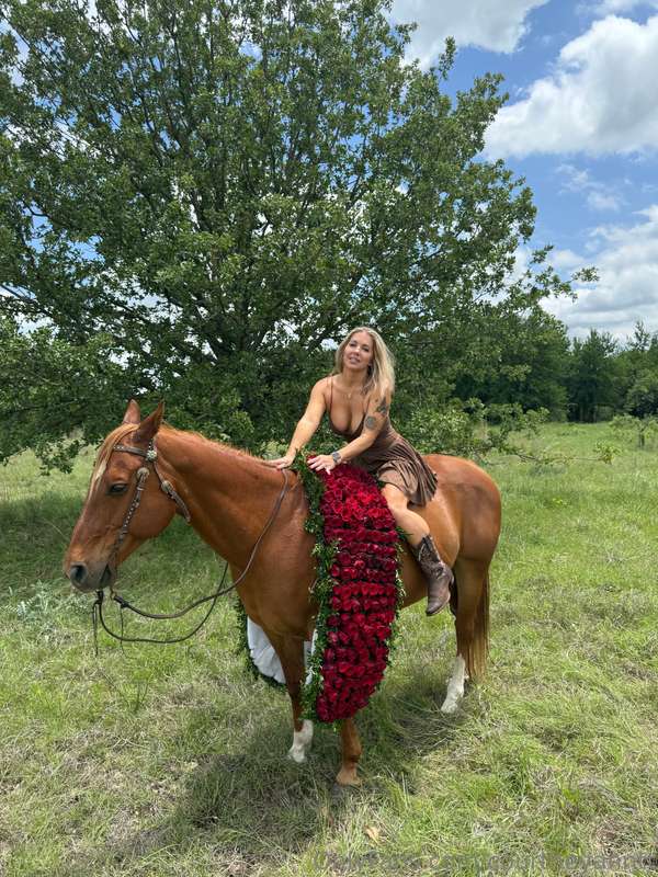 Wild hearts & sunny days 🐎✨