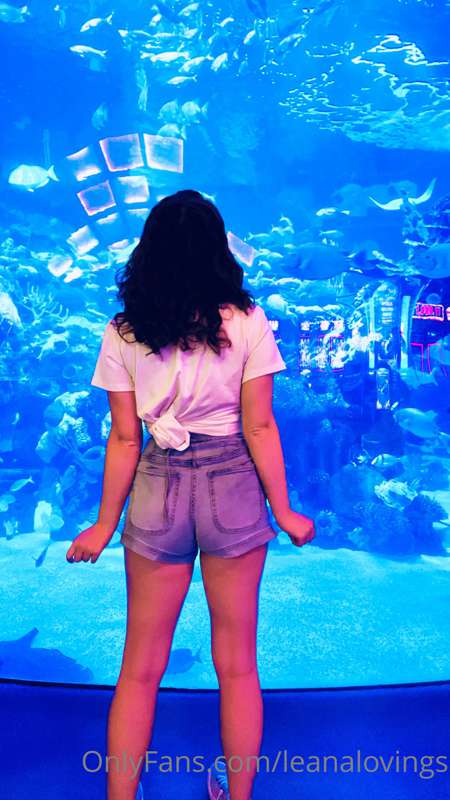 When I went to the aquarium the other day, it was filled wit.. 1