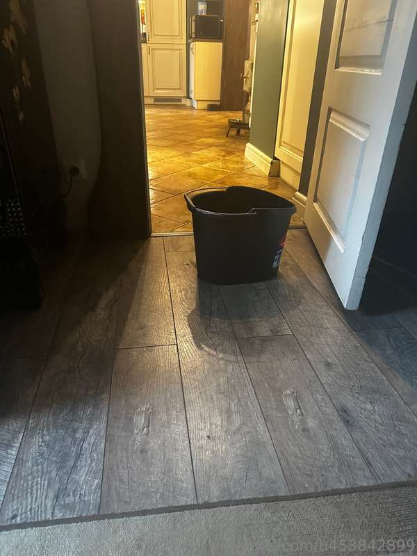 I absolutely love cleaning floors! And just cleaning at home..