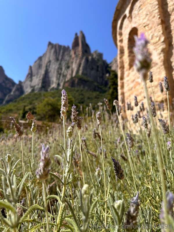 This summer in Spain, one memory still deeply troubles me. I.. 5