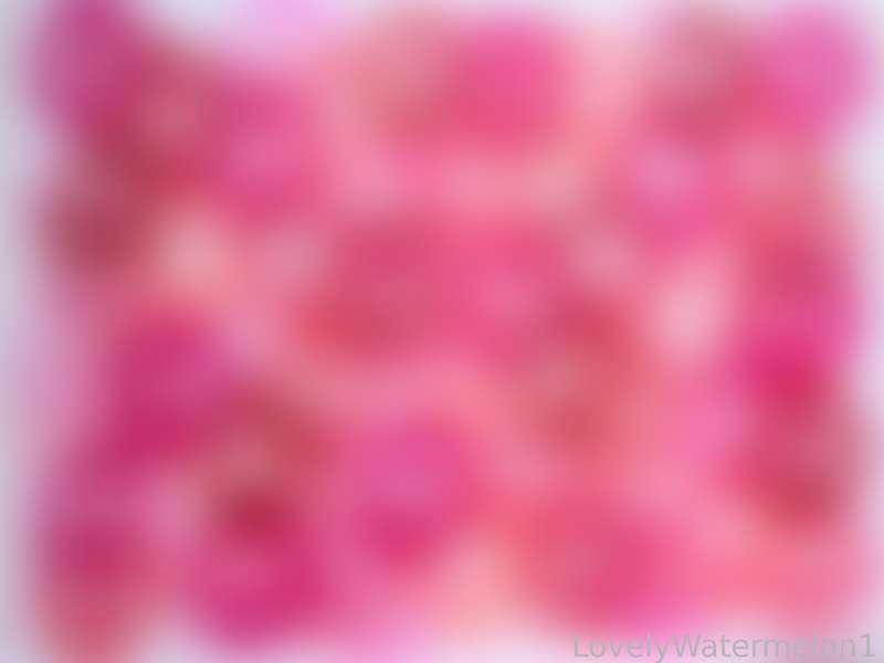 Lovelywatermelon1 - Fansly - 26 Dec, 2024 2