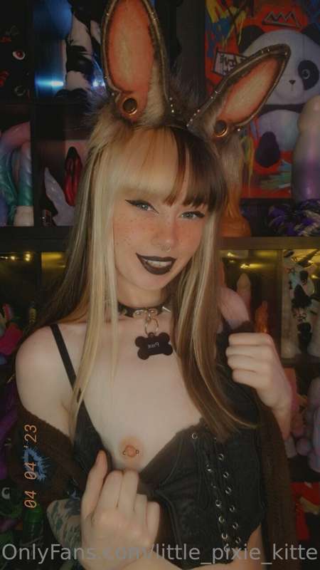 Took more bunny pics today ♡ 4