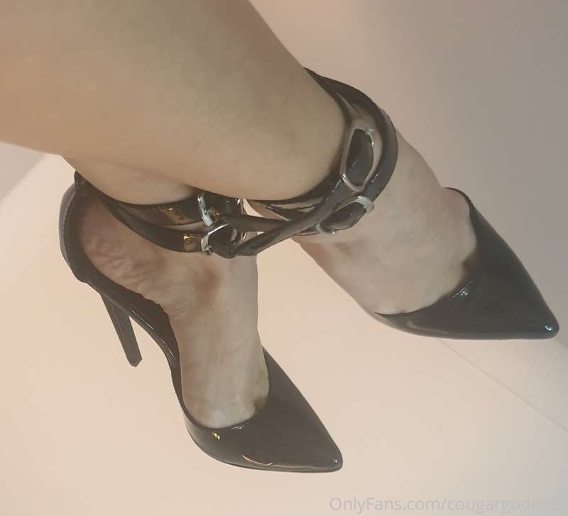 Thecougagoddess - Onlyfans - 02 Nov, 2020