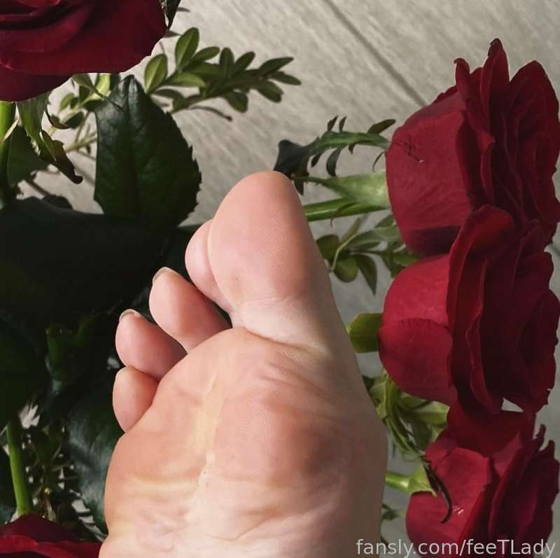 Feetlady - Fansly - 14 Feb, 2023 11