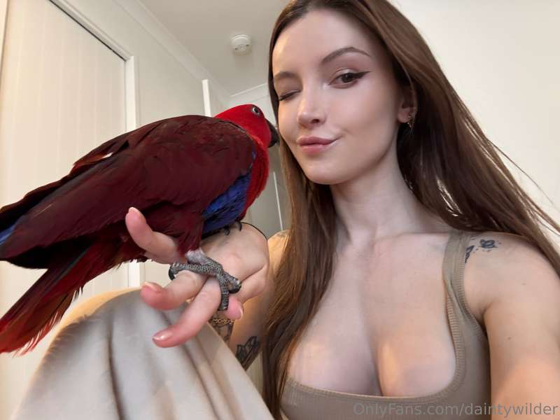 A little birdie told me I'm absolutely irresistible 😘🦜 Do yo..