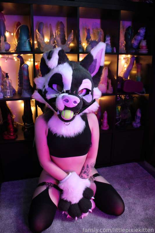 Littlepixiekitten - Fansly - 25 Mar, 2024 12