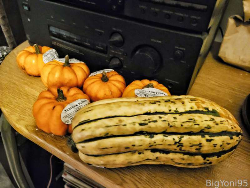 Bigyoni95 - Fansly - 01 Nov, 2022
