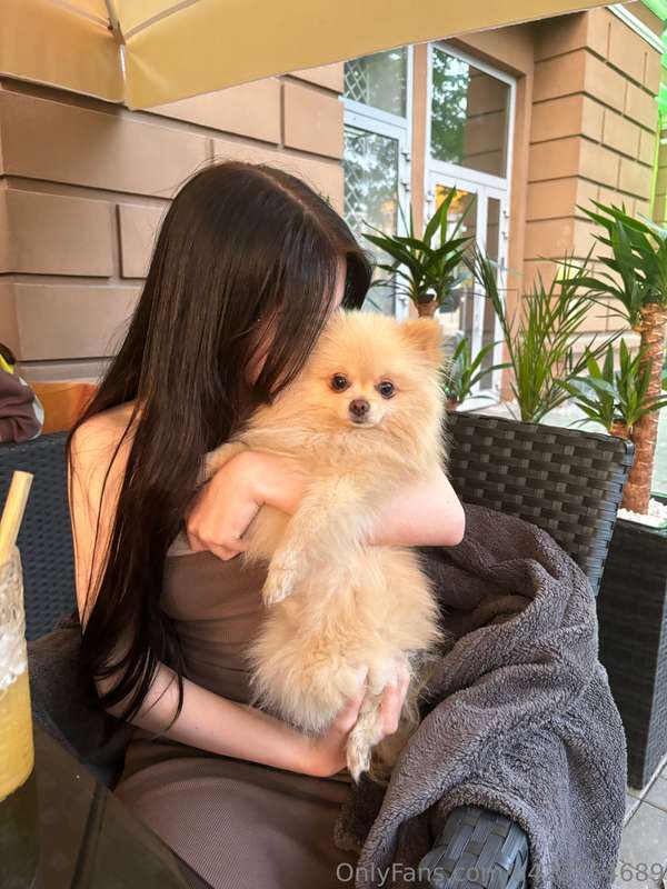 I love cute animals so much! Do you have any pets?🥰