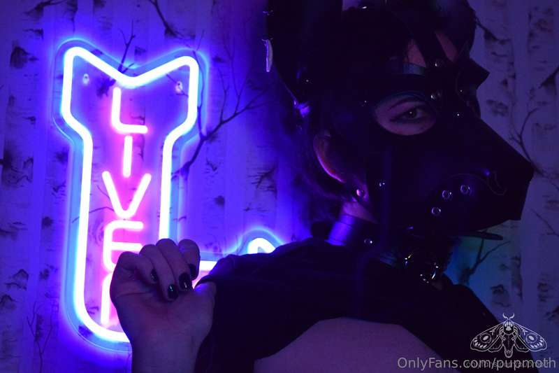 Pupmoth - Onlyfans - 25 May, 2024
