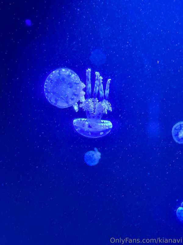 I’m at the aquarium!! I’m a little buzzed on caffeine and zo.. 2