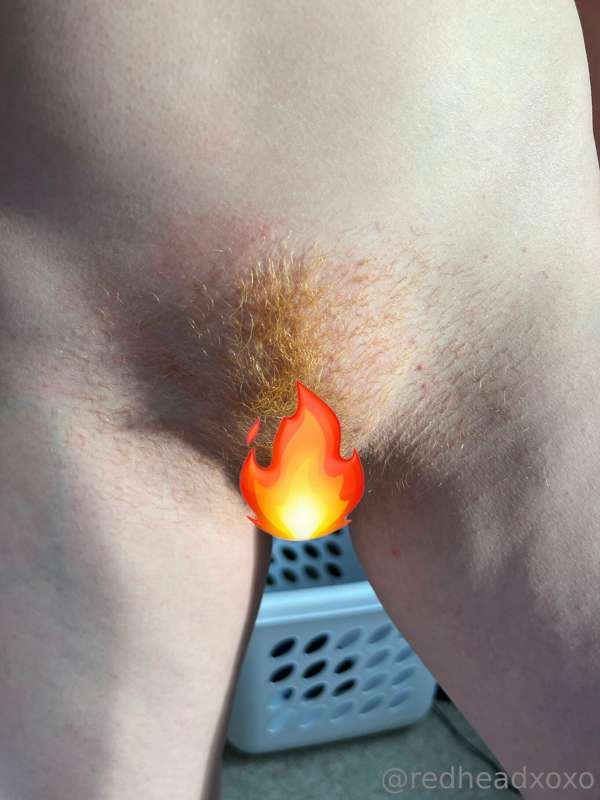 Growing out my ***fire bush*** because Mr. @antoine_sins wan.. 1