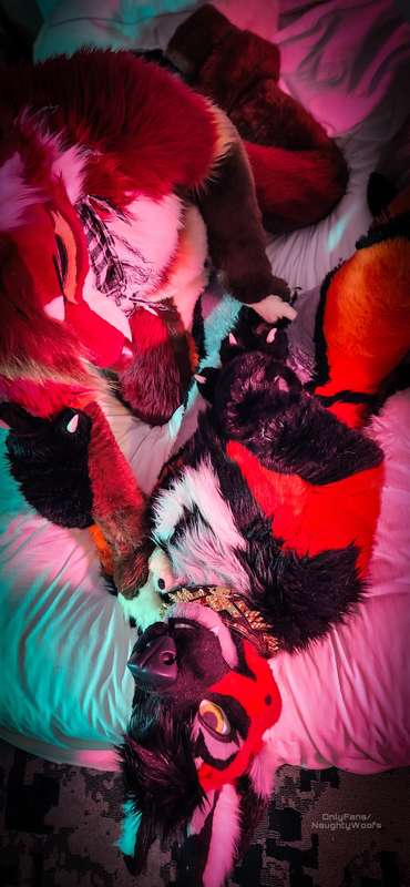 More spicy with this hot fox 🦊🔥  1