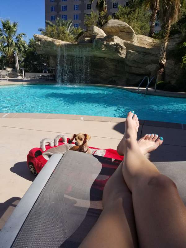 pool day 3